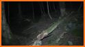 Ghost jungle - Ghost hunter - Hunt and Escape related image