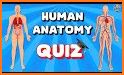 Anato Trivia -  Quiz on Human Anatomy related image