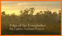 Big Cypress National Preserve related image
