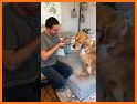 Dog Translator Prank: Talk Pet related image
