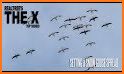 Snow Goose Hunting Diagrams related image