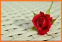 Romantic Flower Red Rose related image
