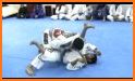 BJJ Brown Belt Requirements related image