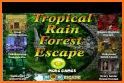 Can You Escape Tropical Forest related image