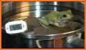 Weather Frog related image
