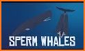 The Sperm Whale related image