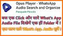 Opus Player - WhatsApp Audio Search and Organize related image