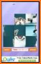Animals of Puzzles: Free Sliding Puzzle Game related image