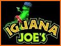 Iguana Joe's related image