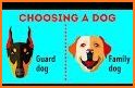DogsMart - USA, Pets Buy and Sell related image