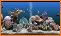 aniPet Marine Aquarium HD related image