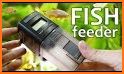 Aquarium Feeding Fish related image