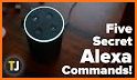 New Echo Dot Commands related image