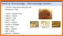 Model Dermatology for Skin Disease related image