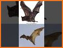 Vampire Flying Bat Simulator related image