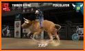8 to Glory - Bull Riding related image