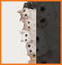Cat Language: DIY Wallpaper related image