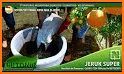 tips cara praktis dan cerdas menanam jeruk nipis related image