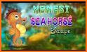 Honest Seahorse Escape related image