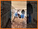 Livestock Loader related image
