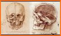 Skull Anatomy Pro. related image