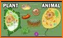 Plants vs Animals related image