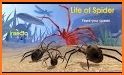 Life of Spider related image