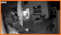 FOX5 Vegas - Las Vegas News related image
