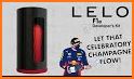 LELO F1S related image