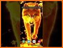 Tiger Wildlife Keyboard Background related image