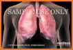 Respiratory System Anatomy related image