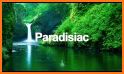 Paradise Island related image