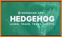 Hedgehog Crypto related image