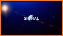 Signal Festival related image