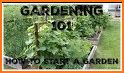 My Home Gardening related image