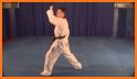 Mastering Taekwondo - Get Black Belt at Home related image