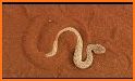 Snake Race related image