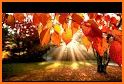AutumnBliss related image