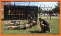 Marine Corps PFT/CFT/BCP related image