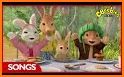 Peter Rabbit birthday party related image