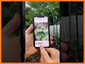 PlantApp: Plant Identification related image