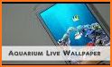 Fish Aquarium Live Wallpaper Koi Fish Application related image