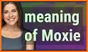 Moxie - Word Traveler related image