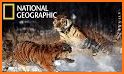 National Geographic : Documentaries Tube related image