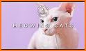 MeowApp - Cat Sounds related image