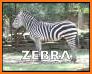 Flashcards For Toddlers: Animals related image