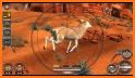 Wild Deer Hunter 3D :Wild Animal Shooting Games related image