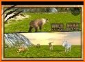 Wild Bear Attack Simulator 3D related image