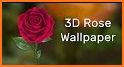 3D Rose Live Wallpaper Free related image