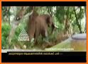 AsiaNet News Live TV | Malayanam News TV related image